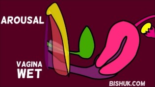 How The Vagina Works