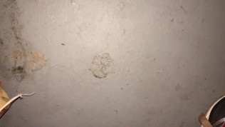 Mature Milf used 4 fuckmeat @ local bookstore, facialized, throated,fukd