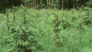 nudist women lifestyle