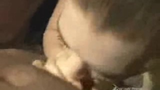 Pamela Anderson And More CELEBRITIES Do BJ!