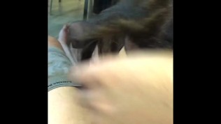 Teen slut sucking and getting fucked by her master