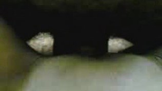 Arab algerien fuck at home from www mygratis tk