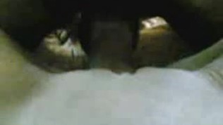 Arab algerien fuck at home from www mygratis tk