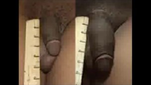 Bigtitted latina tgirl jerking cock