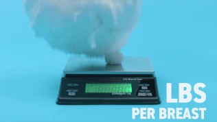 Breasts – Everything We Know About Sex