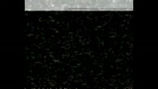 death of white cocks