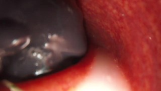 internal camera bad dragon flint cumming in my ass