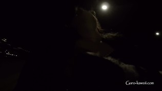 JR#2 Sexy girl – inner city Copenhagen sightseeing on bike by nite :)