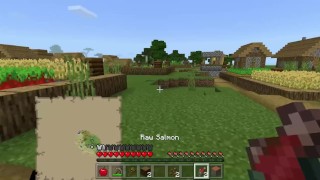 minecraft part 1