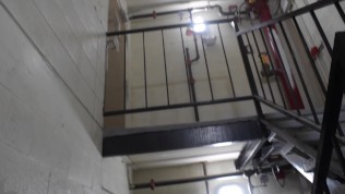 She Snuck Out Of Quarantine To Swallow My Cum