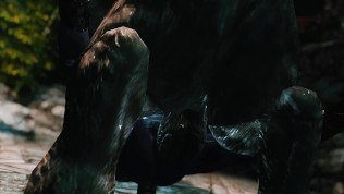 skyrim sabre cat fuck Draenei