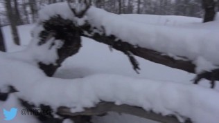 Student during ski lesson want to suck and fuck professor