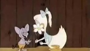 The real Tom and Jerry