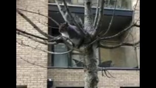 4848661ce35b28e97f4effd09b8459c6.mp4