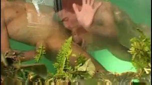 BB-gangbang of vry HoT TWiNKS !!