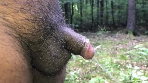 Fes choice woodland adventures II