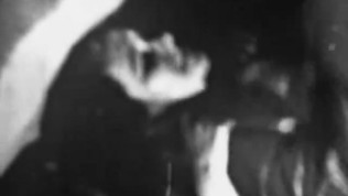 Girls just Have to Please this Officer