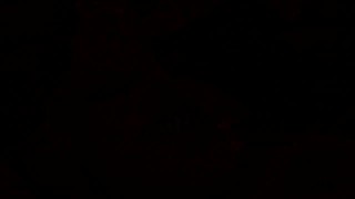 Lazarus Project Negotiations [sfm-dh]