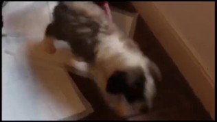 LENNY CALLUM’S CORNER