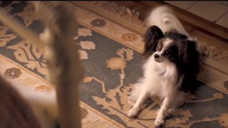 Margot Robbie Sex Scene in Wolf of Wall Street