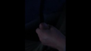 Meine Frau bläst mir im Buss meinem Schwanz. Public, blowjob im Bus, blonde Frau blowjob im Bus