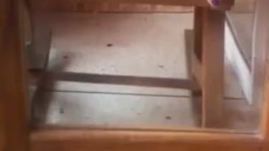 RICA VENECA SE MASTURBA