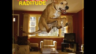 Weezer – Raditude (2009) Deluxe Edition