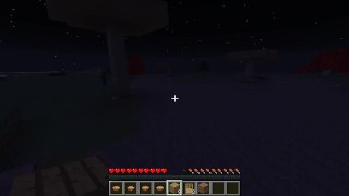 A regular Minecraft video