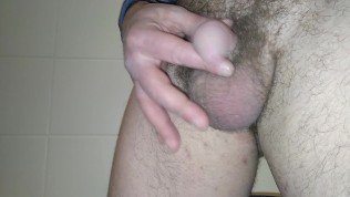 beginning animal self masturbating