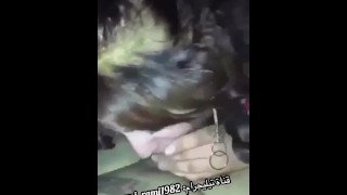 احلى مص كحبة العراقية