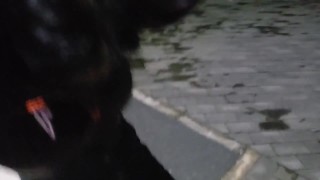 贞操带/肛塞/捆绑/蒙眼/堵嘴/外出