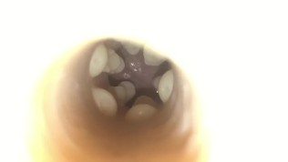 Filling a Stoya Fleshlight with Cum and Slow Mo Cumshot