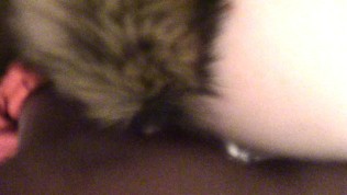 Fox Tail Anal Plug Doggystyle Cream Pie (Raven Lush) ;)