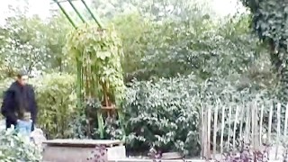 German exhibitionists having public sex