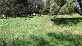 Lo seduzco para chuparle la verga, lo llevo a mi casa y acaba en mi boca