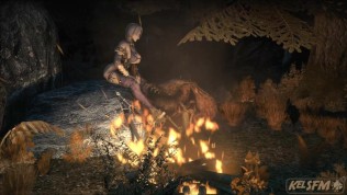 The night in the forest – 001 Full.mp4