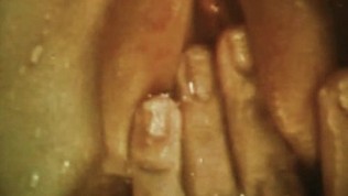 Vintage Lesbians 1970s – Wet, Hairy, & Natural