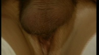 A group of sexy guys and dolls (CLIP)