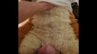 Attacked by a Wild Yet Curious Being