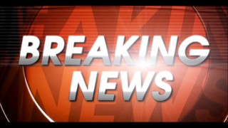 Black and White Report 1