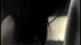 Carole Laure – Normande