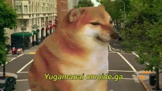 cheems discovers the truth