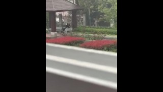 CHINESE重庆市第三中学