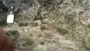 CUBALEAKS Papo en la poseta