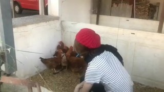 French teen plays with a bunch of interracial cocks mpv