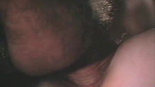 Hairy Pornstars Fucking From 1976