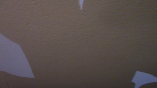 Horny Girl Takes Big Dick