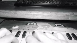 Mariya Takeuchi 竹内まりや Plastic Love Cat Piano Cover