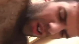 Peludo comendo o entregador de pizza