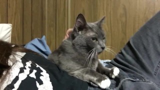 Petting the Most Beautiful Pussy